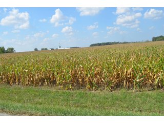 Property photo 49 - REAL ESTATE AUCTION - 604+/- ACRES IN 14 TRACTS IN MERCER CO., OHIO